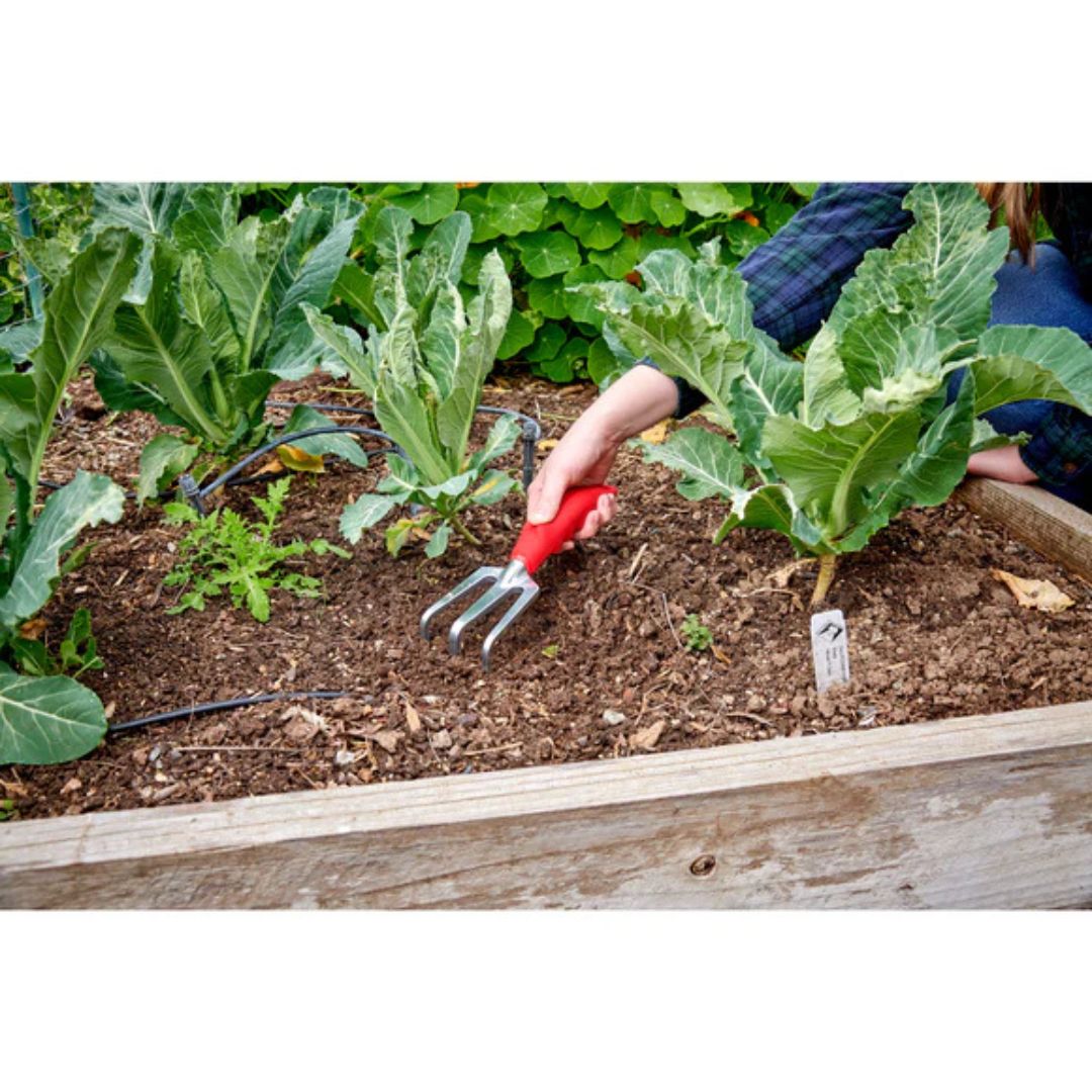 Comfort Cultivator – Corona – 3 Tine
